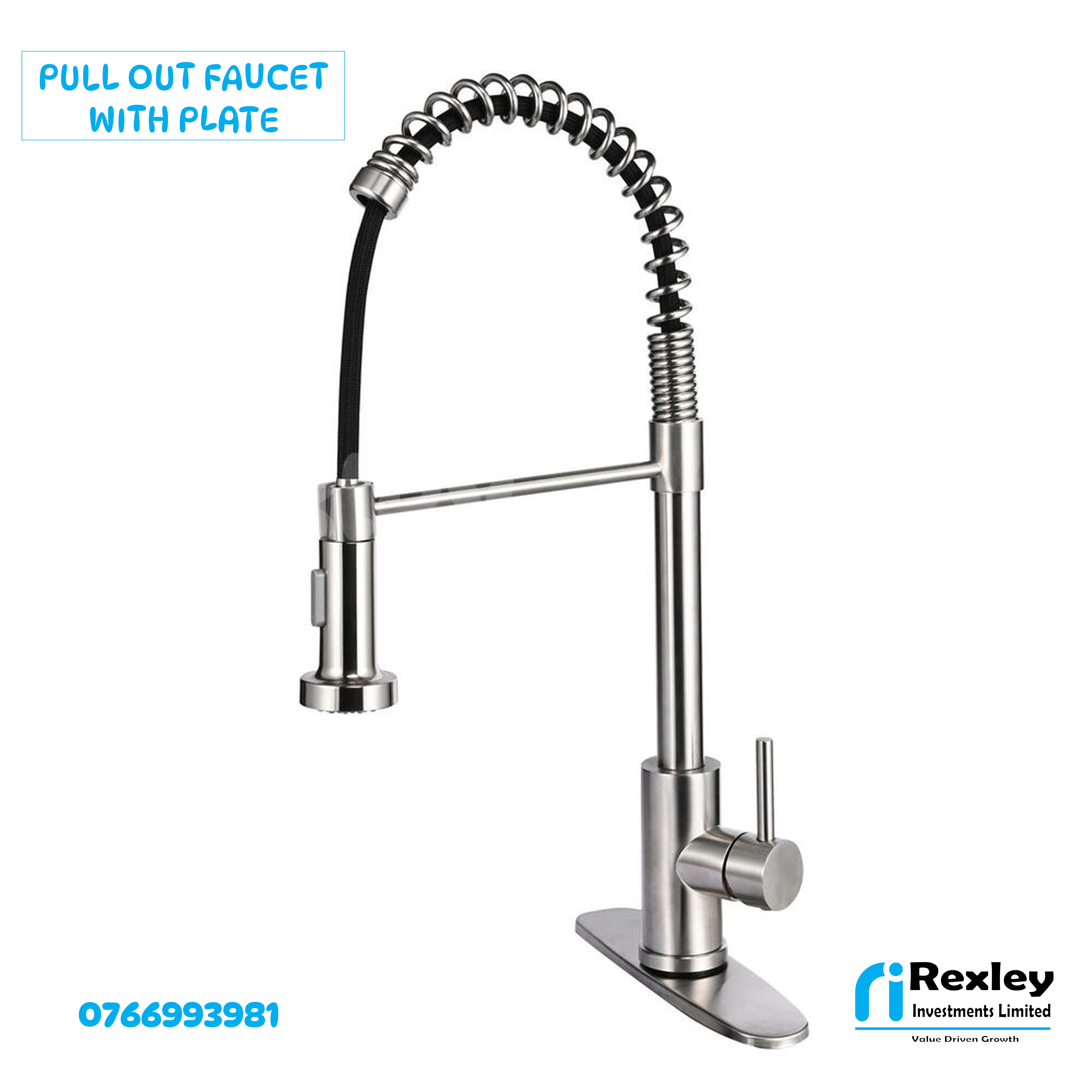 Pull out faucet with plate