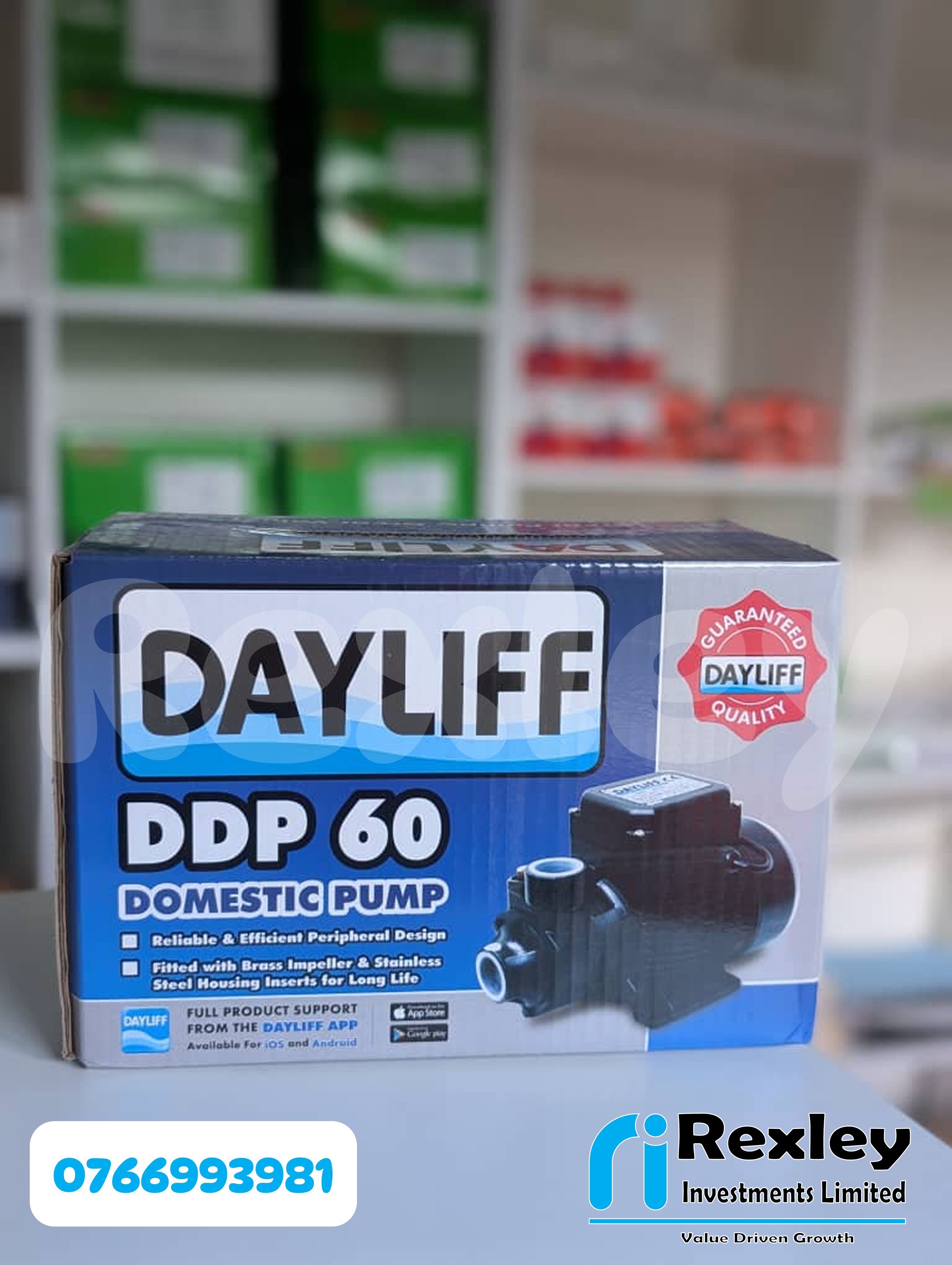 Dayliff DDP 60 domestic pump