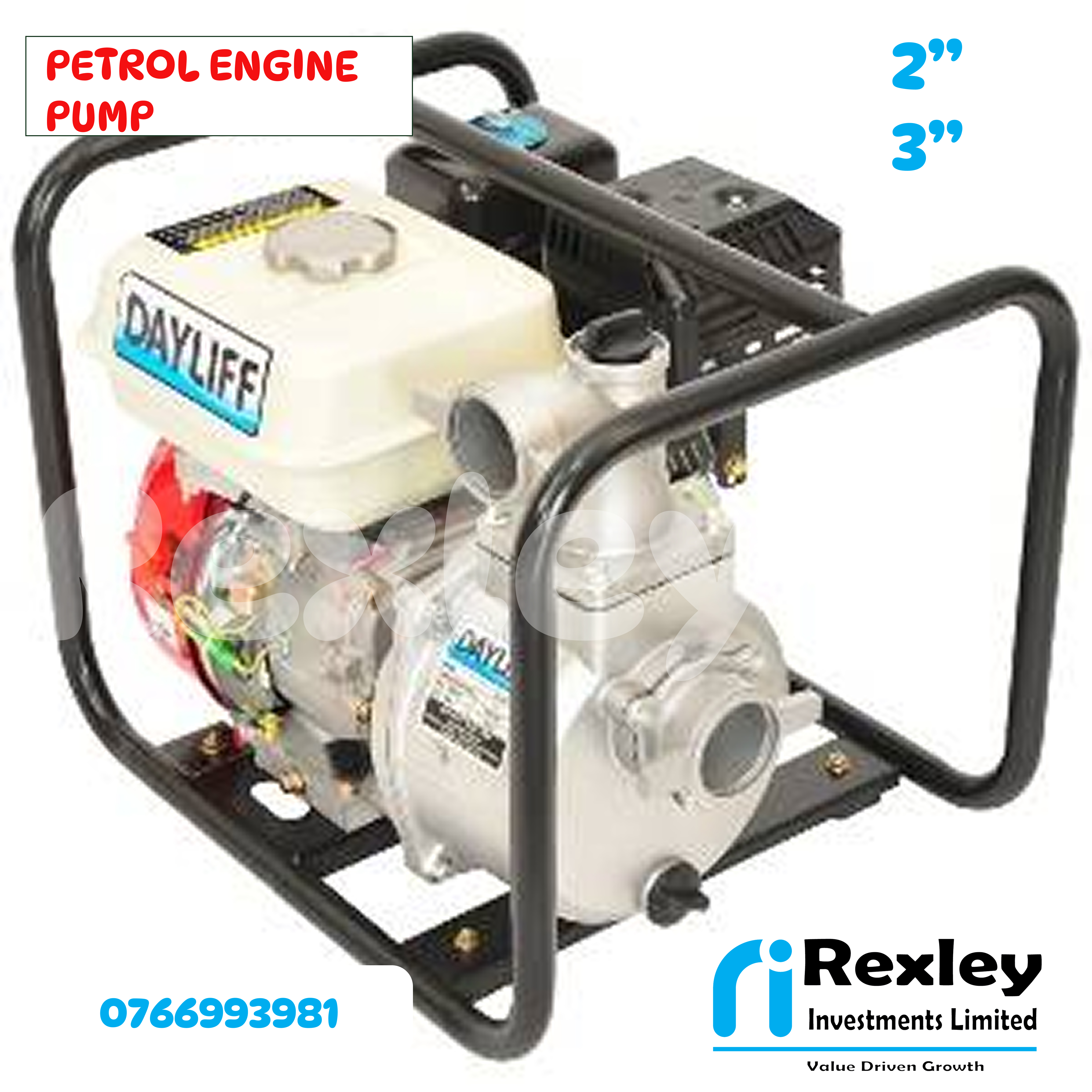 Petrol engine pump